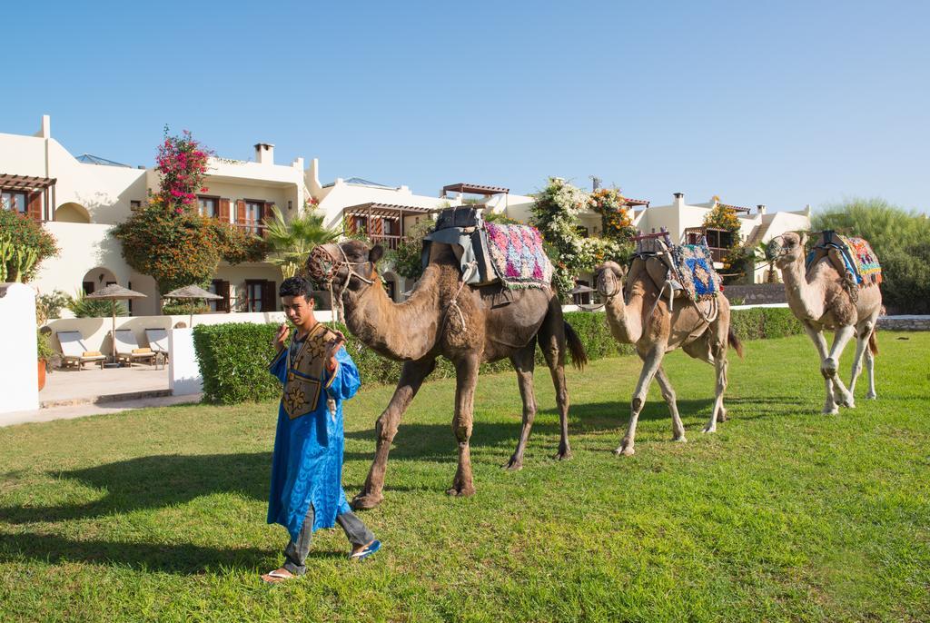 Rebali Riads 시디 카우키 외부 사진